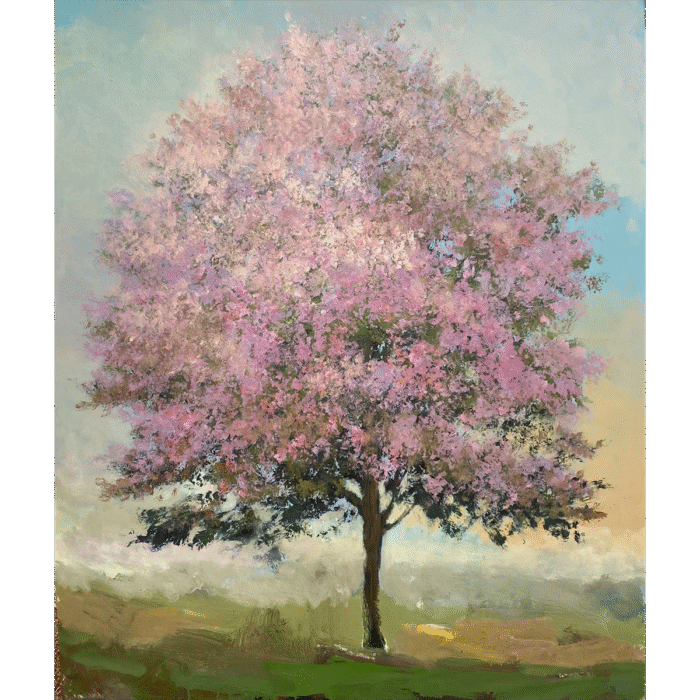 Apricot | 60" x 48"