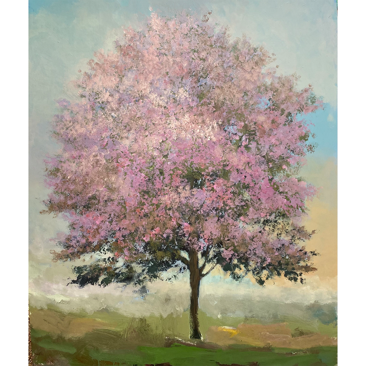 Apricot | 60" x 48"