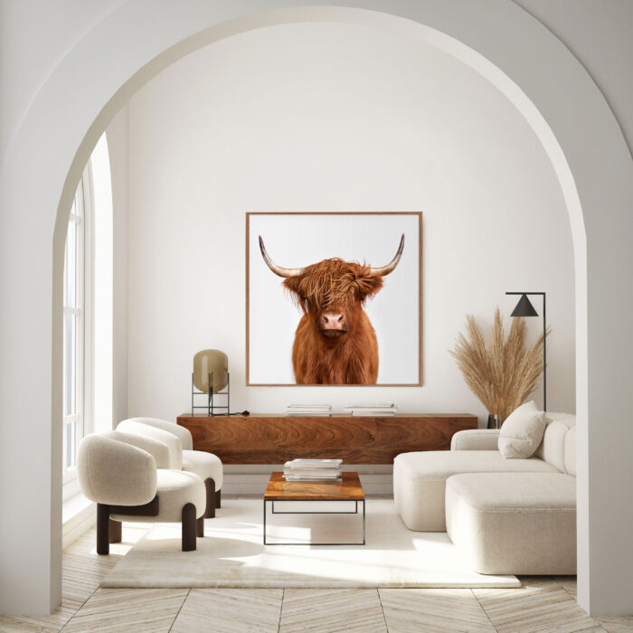 Symphony: Highland Cow No. 4 | 41.5" x 41.5"