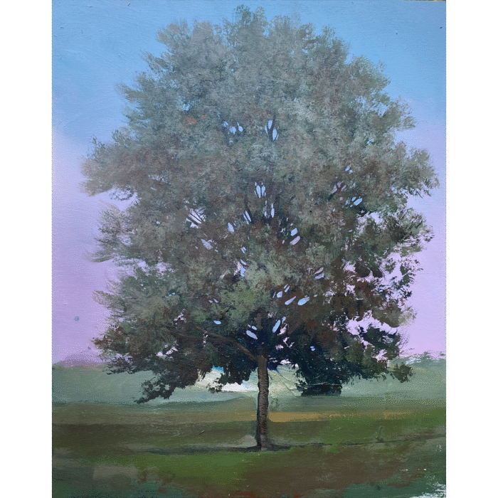 Linden | 22" x 19"