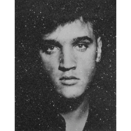 Elvis Heartbreak Hotel | 42" x 33"