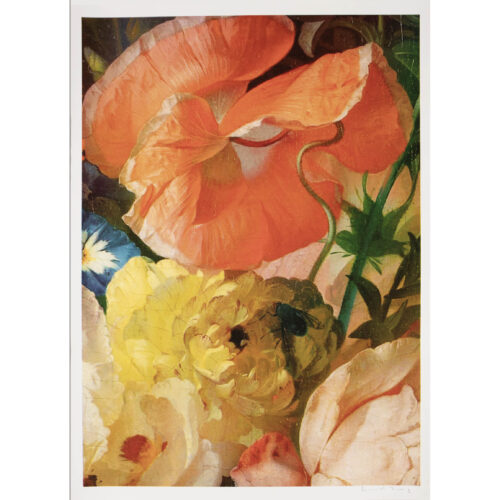 Flower XV | 56" x 40"