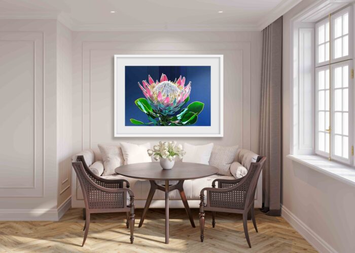 King Protea | 46" x 60"