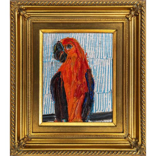 Conure Red | 10" x 8", 16" x 14" Framed