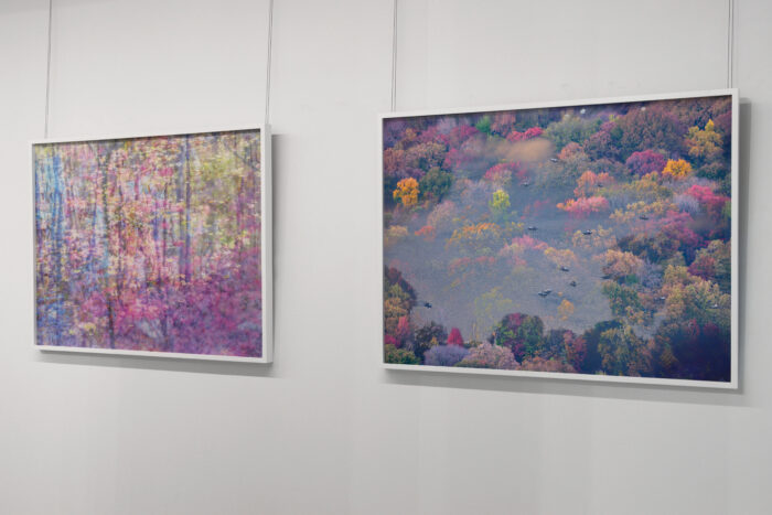 Tapestries