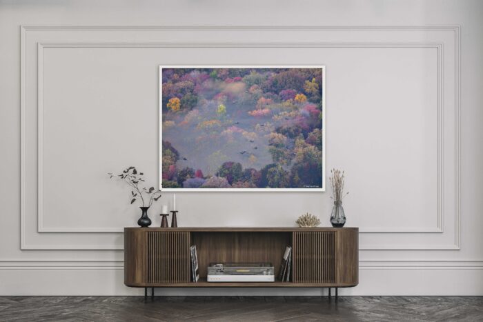 Tapestries, Central Park, Fall Tapestries, Central Park, Fall | 36" x 48", 37" x 49" Framed