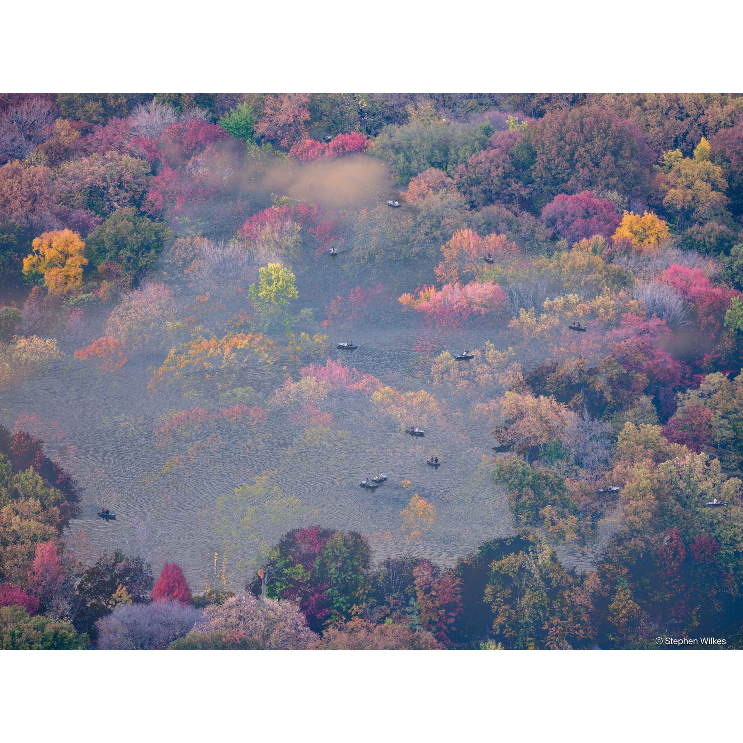 Tapestries, Central Park, Fall | 36" x 48", 37" x 49" Framed