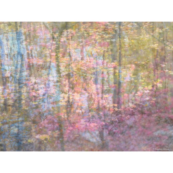 Tapestries, Floral Mix | 36" x 48", 37" x 49" Framed
