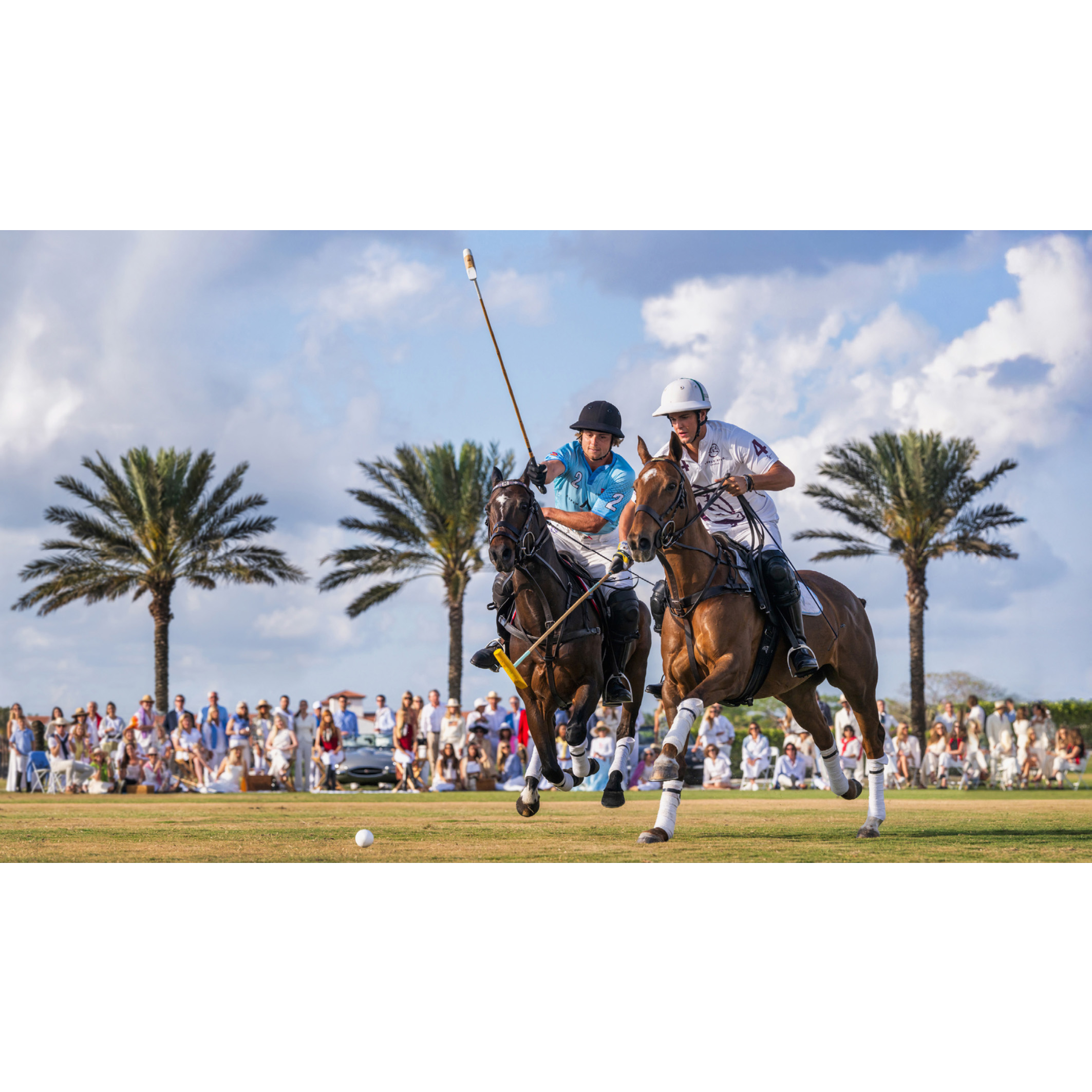 Wellington | Standard: 37” x 64” Unframed, 52” x 79” Framed