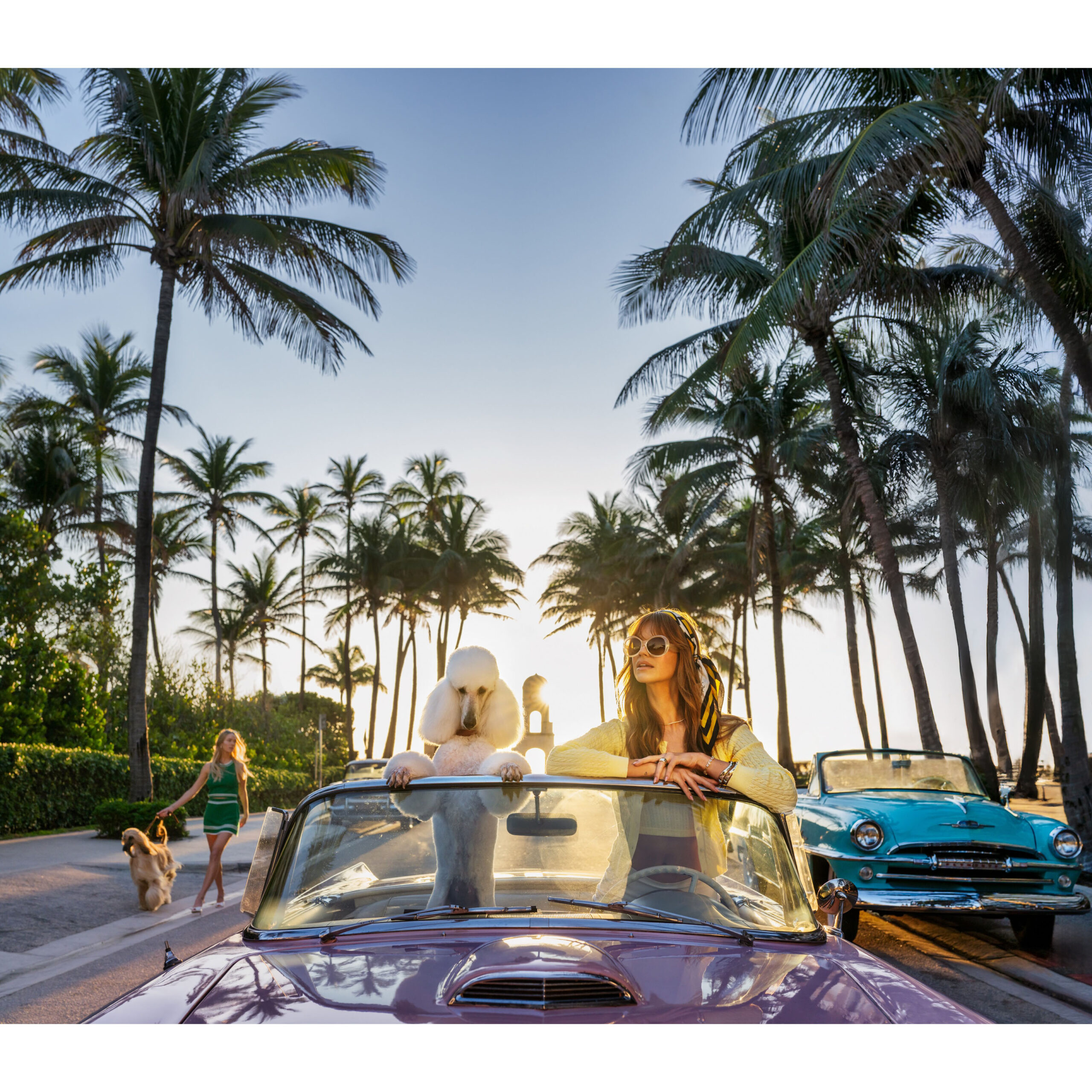 Worth Avenue | Standard: 37” x 43” Unframed, 52” x 58” Framed