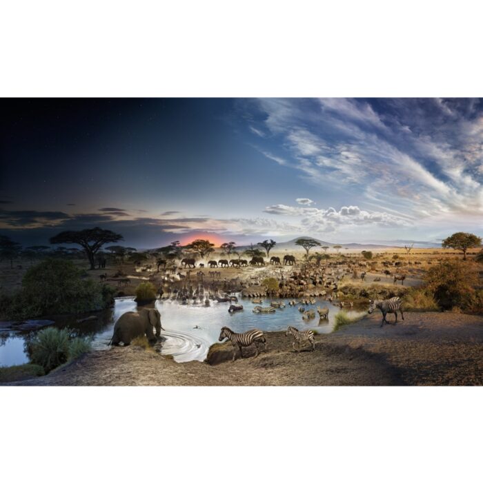 Day to Night, Serengeti National Park, Tanzania