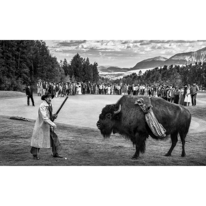 Bison Dechambeau