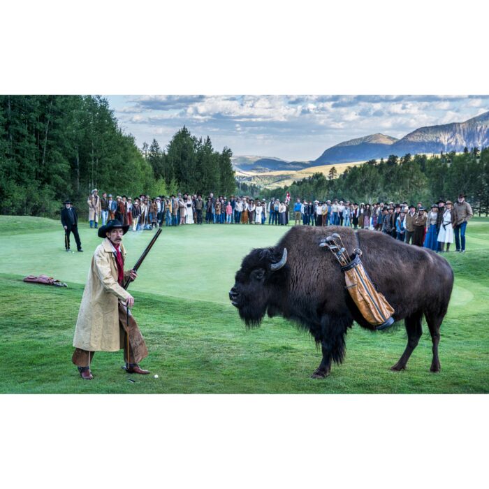 Bison Dechambeau Colour
