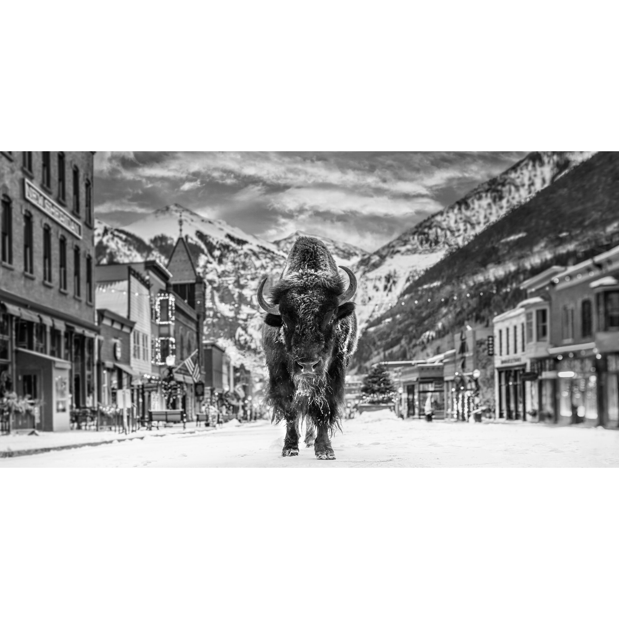 The Bison on Main