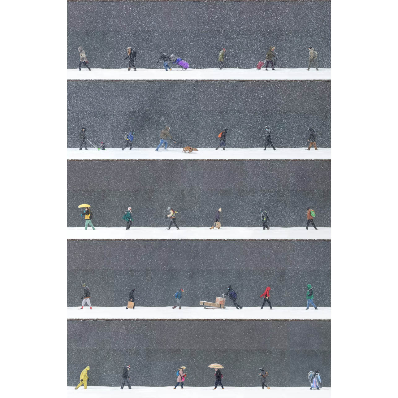 Snow day, Midtown, NYC