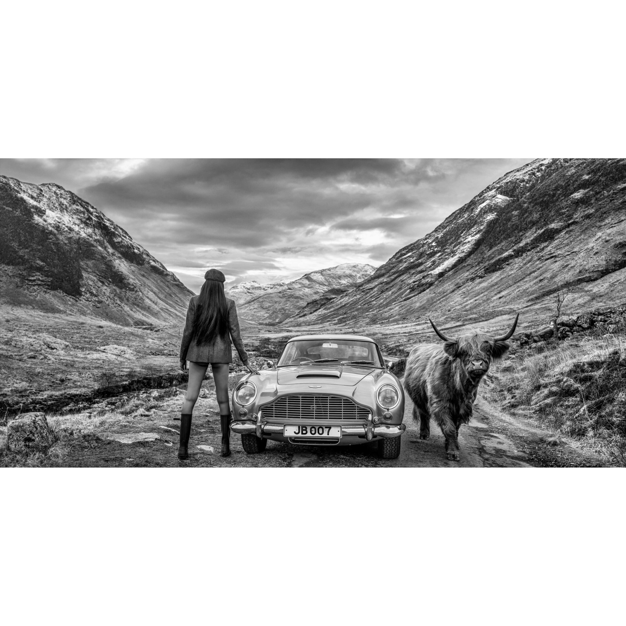 The Home of Bond | Large: 51" x 103" Unframed, 66" x 118" Framed