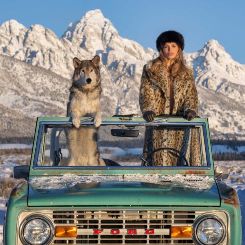 David Yarrow