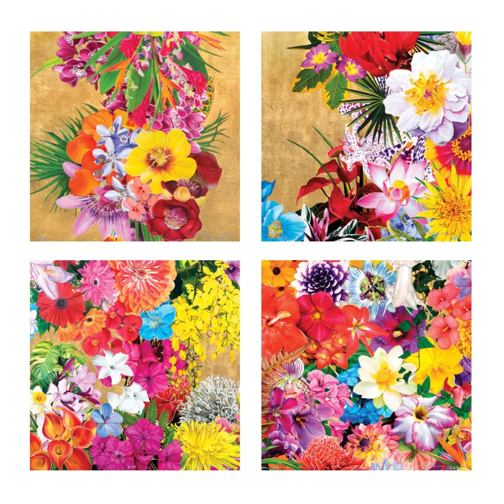 Golden Caribbean (I-IV) | 16" x 16"