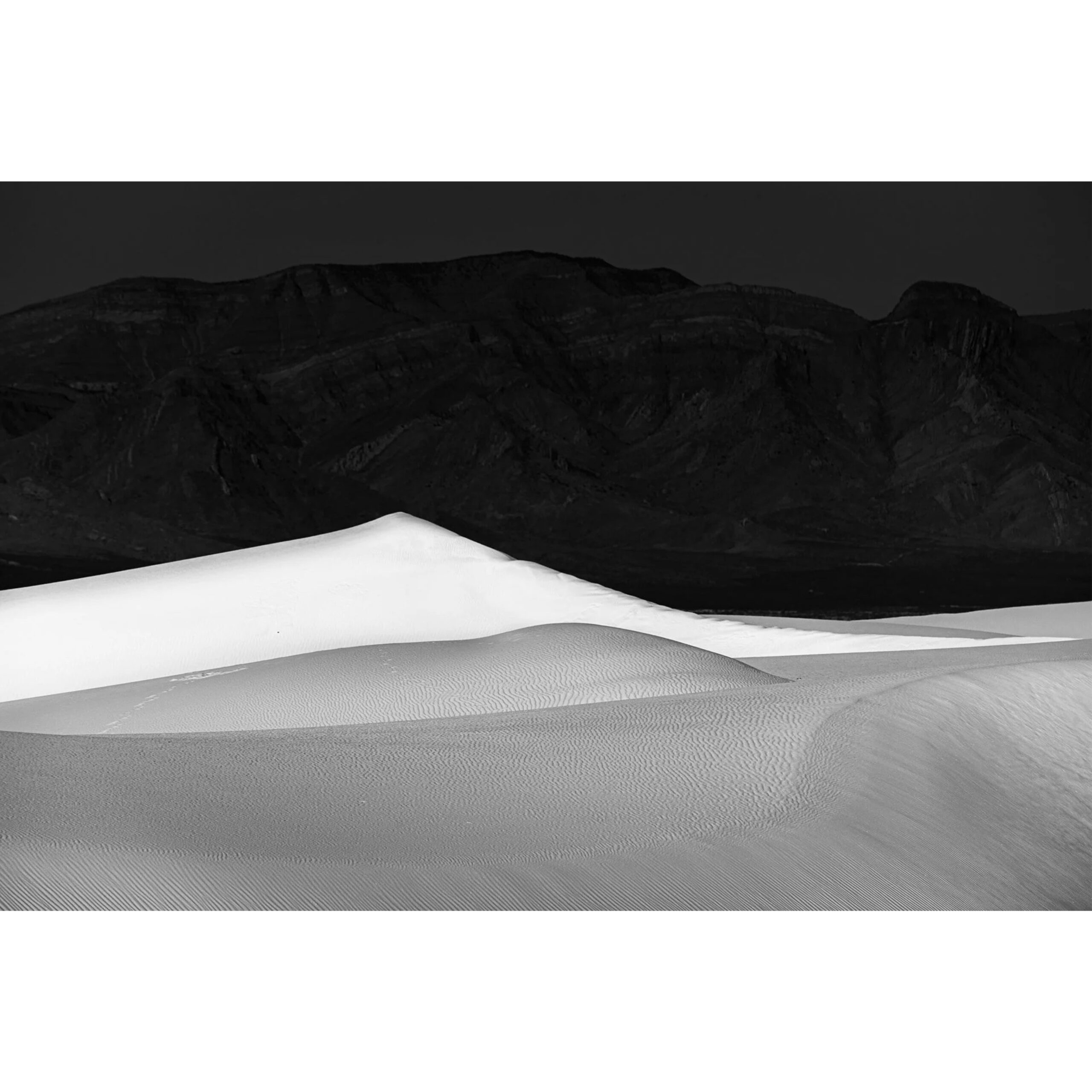 Life is Full of Contrast | 20" x 30"