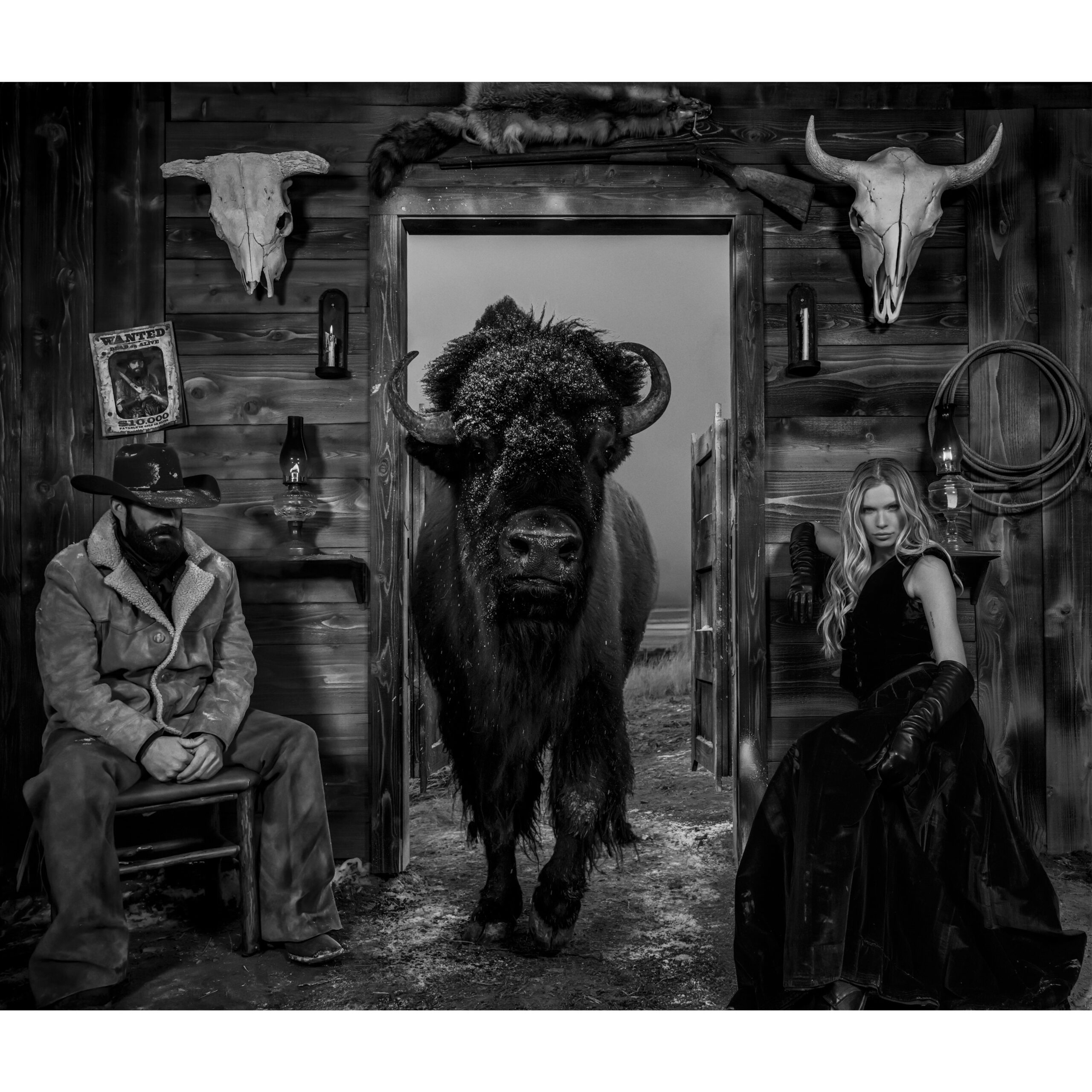 Saturday Night Live | Standard: 37" x 44", 52" x 59" Framed