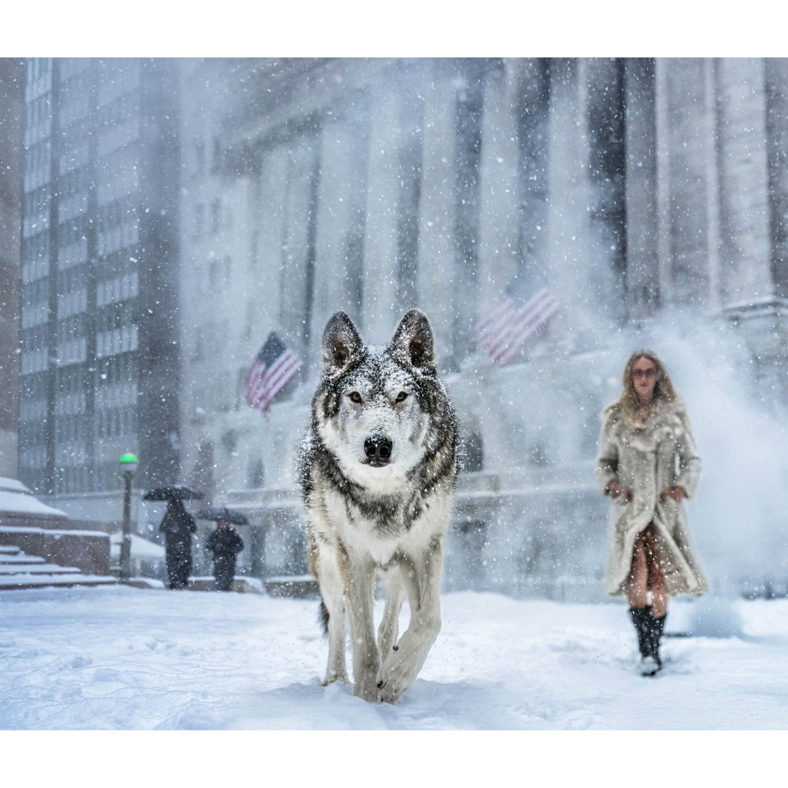 Wall Street Stories (Colour)