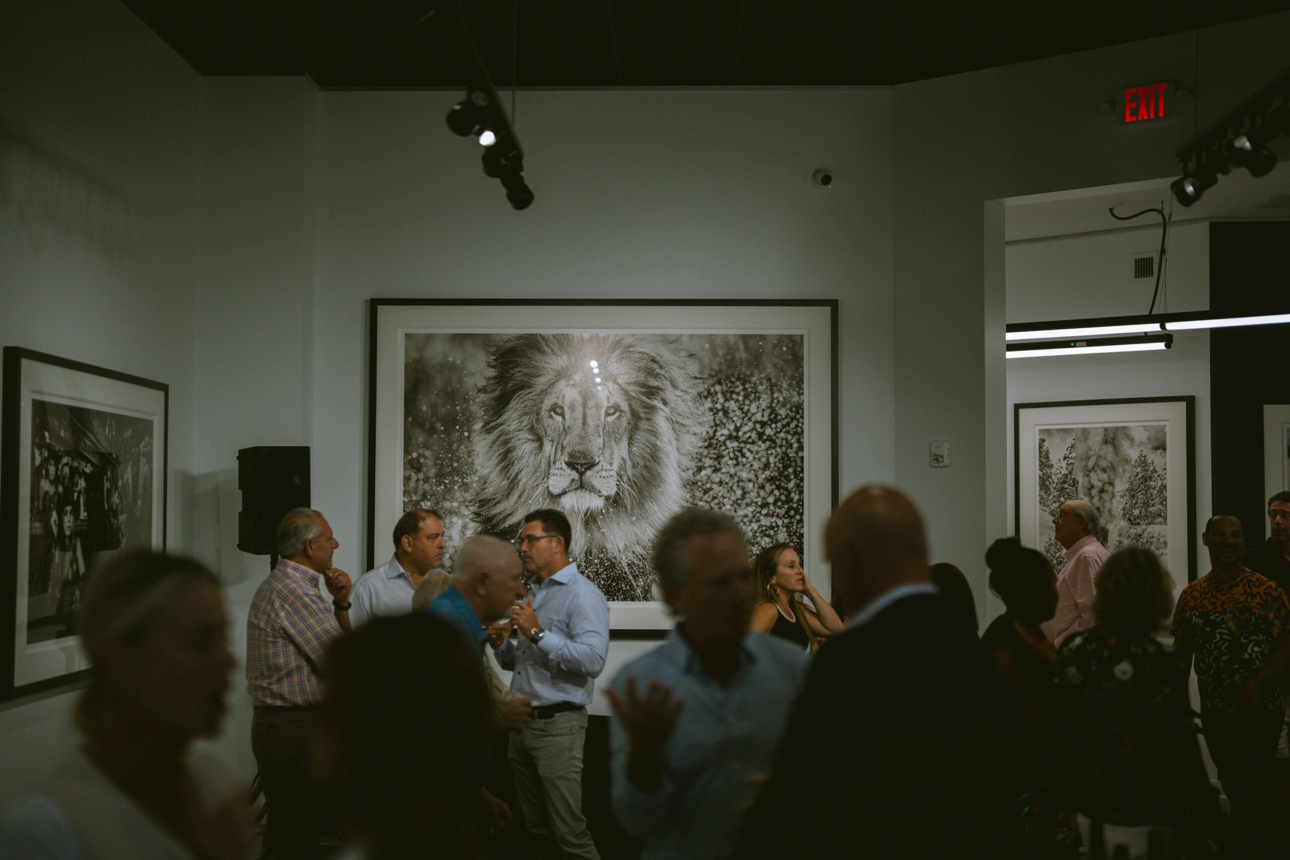 Storytelling by David Yarrow