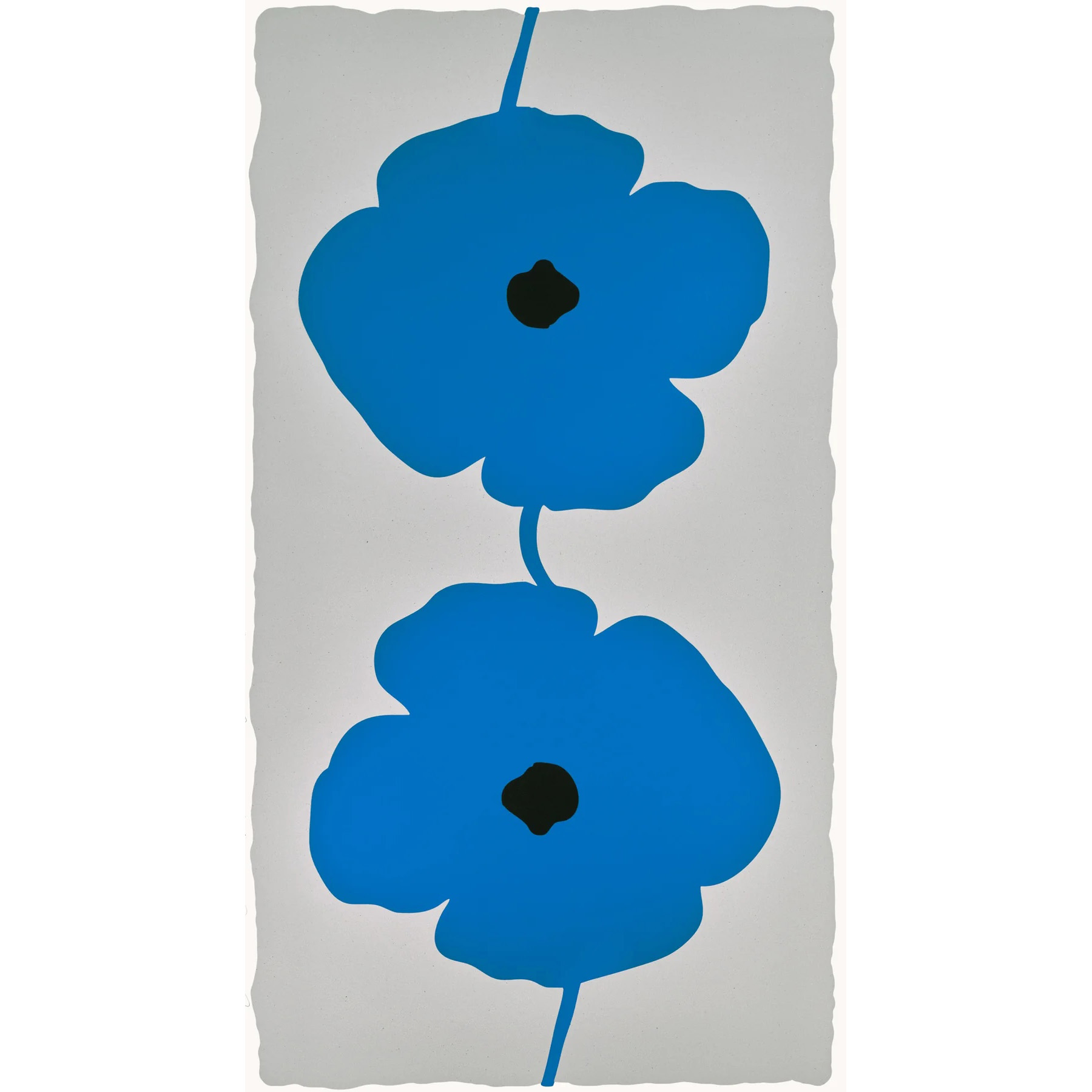 Double Poppies Blue | 52.5" x 30"