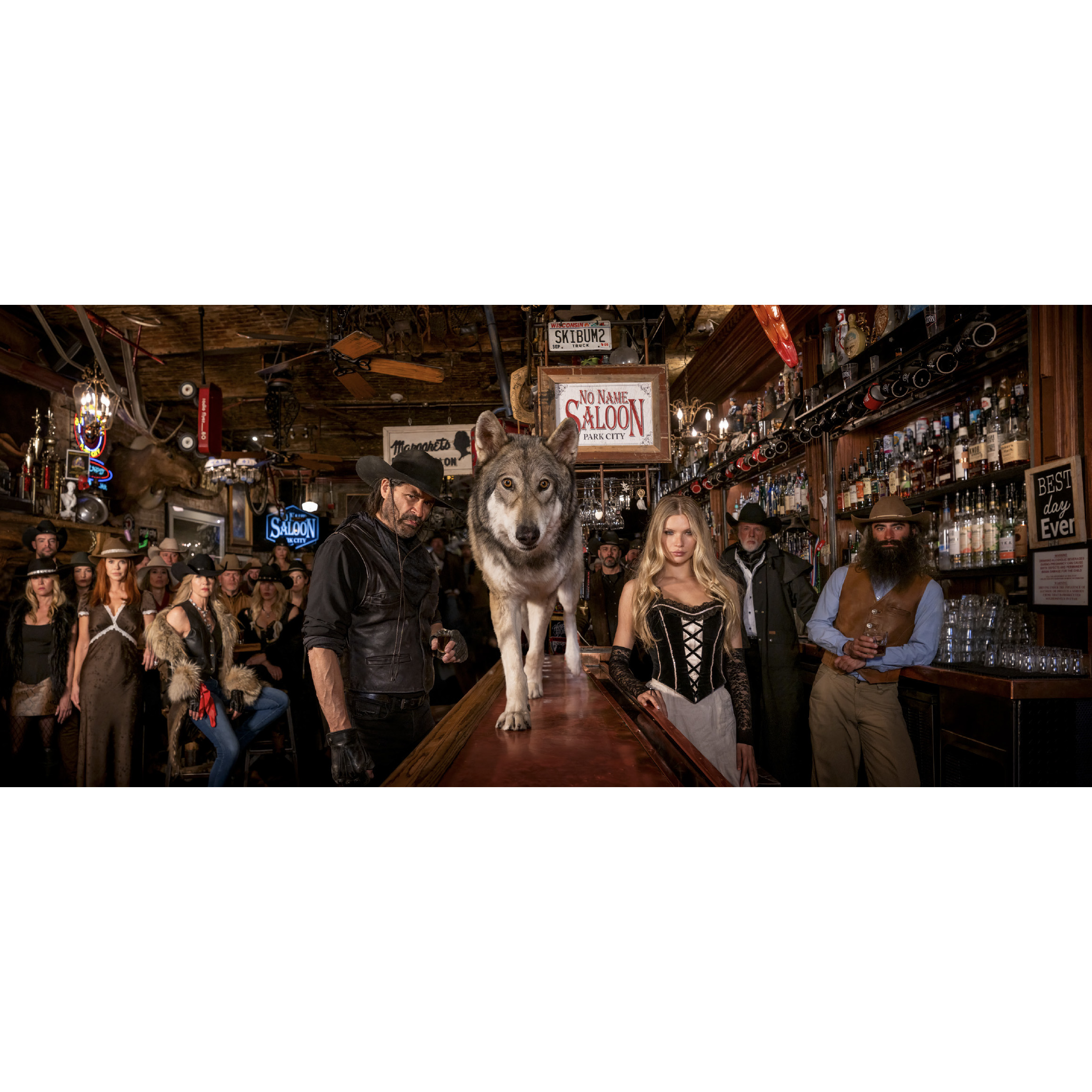 Moths to a Flame (Colour)