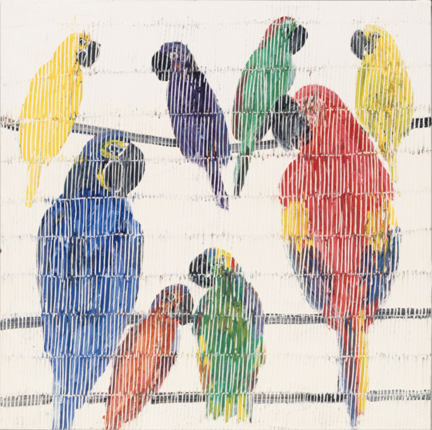 Hyacinth Macaw Picul | 40" x 40", 41.5" x 41.5" Framed